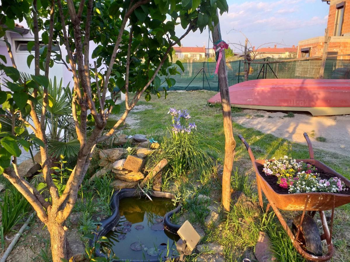 Istra Apartment Koper