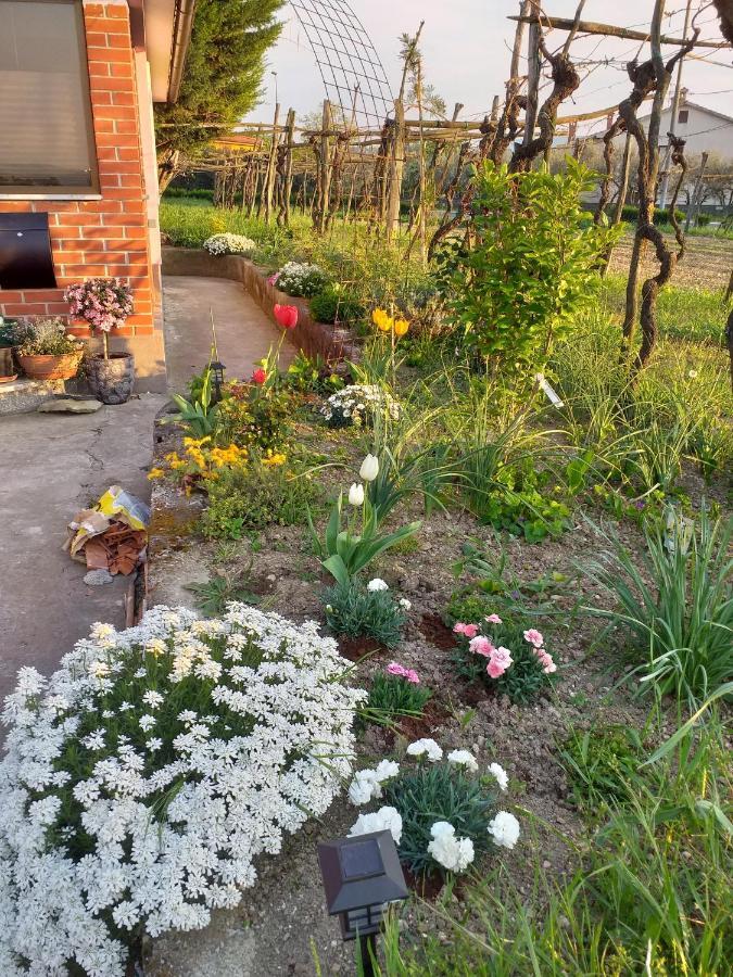 Apartment Istra