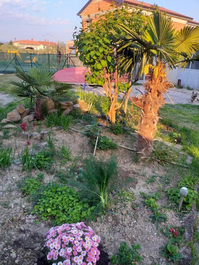 Apartment Istra Koper